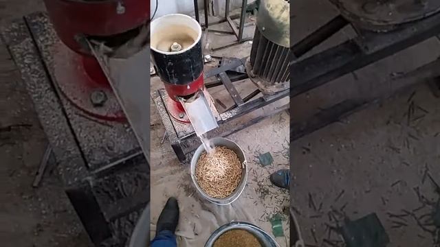Гранулятор бытовой кормовой
