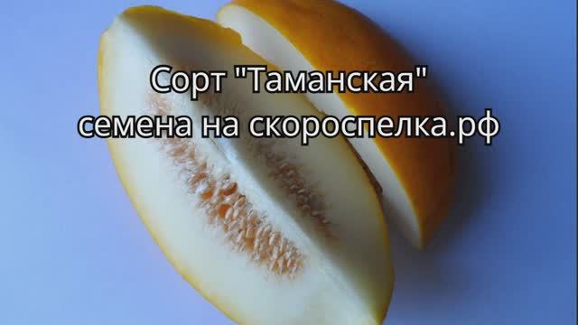 Ранняя дынька. Сорт "Таманская". Рассыпчатая, зернистая, нежная, сочная, ароматная. Семена у нас.