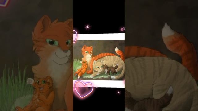 легендарная тройка котов воителей