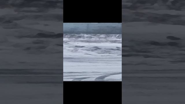 1000015751.mp4