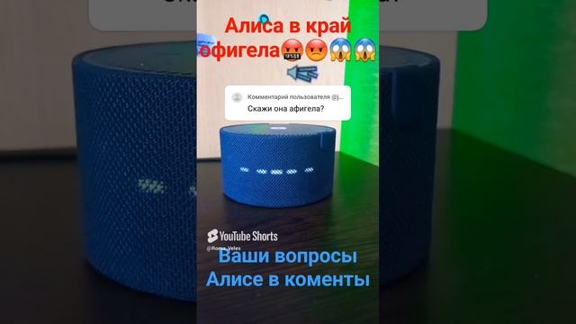 Алиса офигела😅🫣