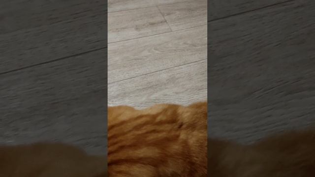 Как дела🤗нормально