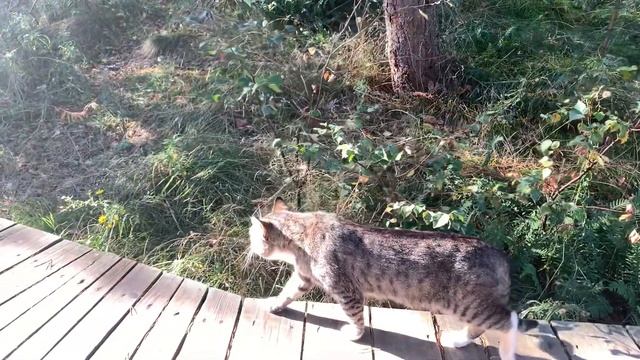 27 сентября 2021 г.