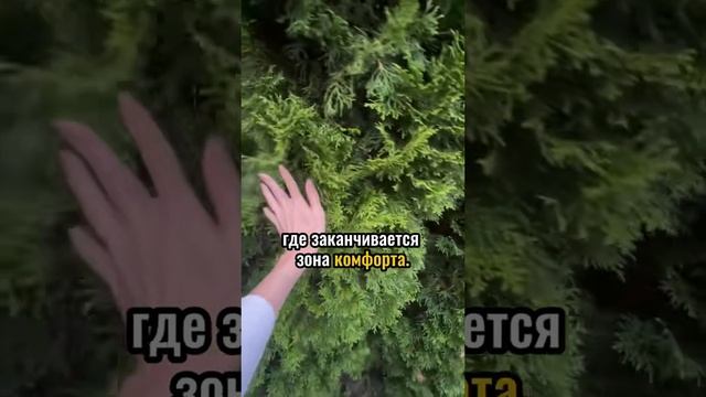 Жизнь начинается там