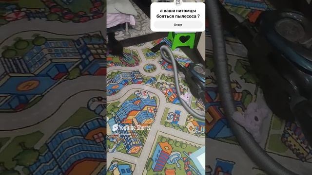 знакомство с пылесосом