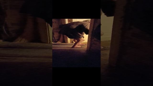1000004430.mp4