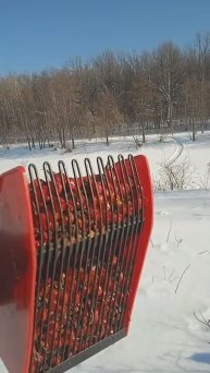 Территория "ДИКИХ ЛЕСОВ" 🌲🌲🌲 Сбор шиповника 🍒🍒🍒 в феврале.