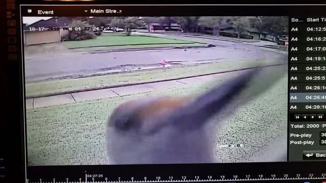 Woodpecker breaking my security cameras glass