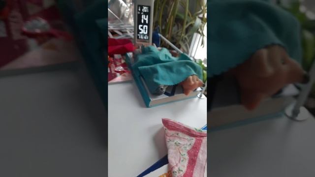10 серия ночёвка у миланы