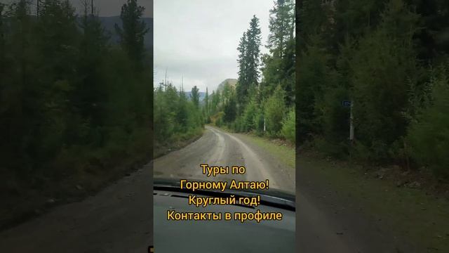 Туры в Горный Алтай