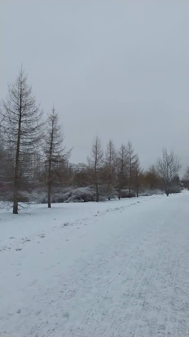 14.1.25 Москва, Южное Бутово