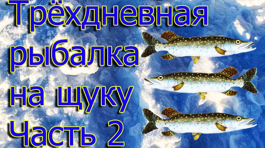 Трёхдневная рыбалка на щуку. Часть 2❄️🐋🦈