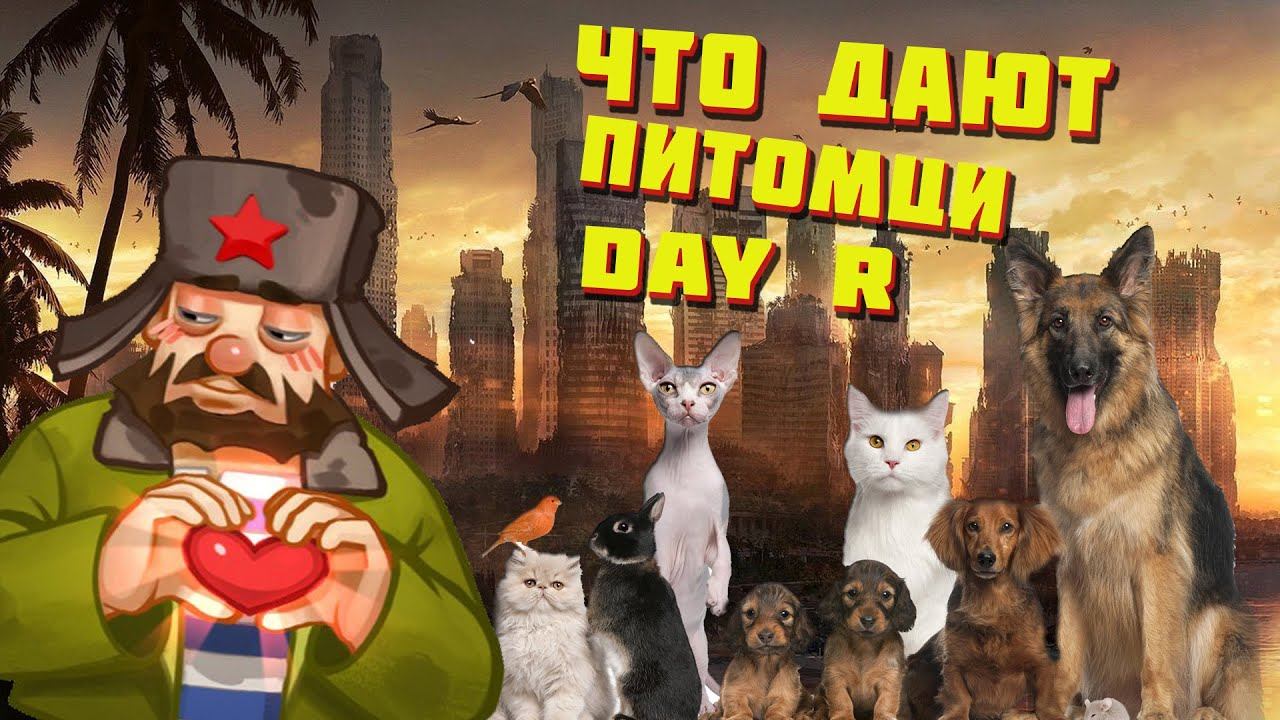 Обзор на питомцев в day r survival . Где найти и что дают ручные звери.