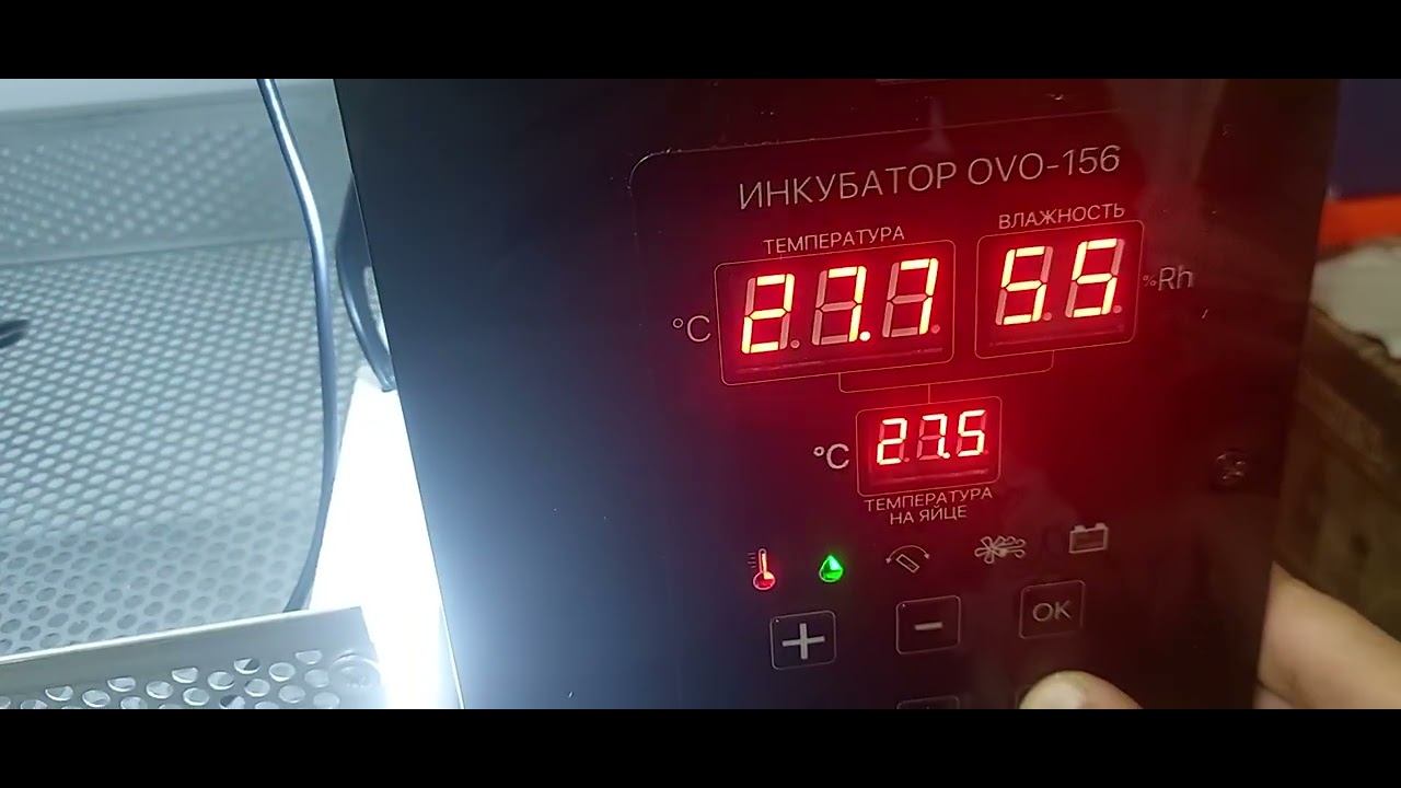 инкубатор OVO-156. первые впечатления. недостатки!!!