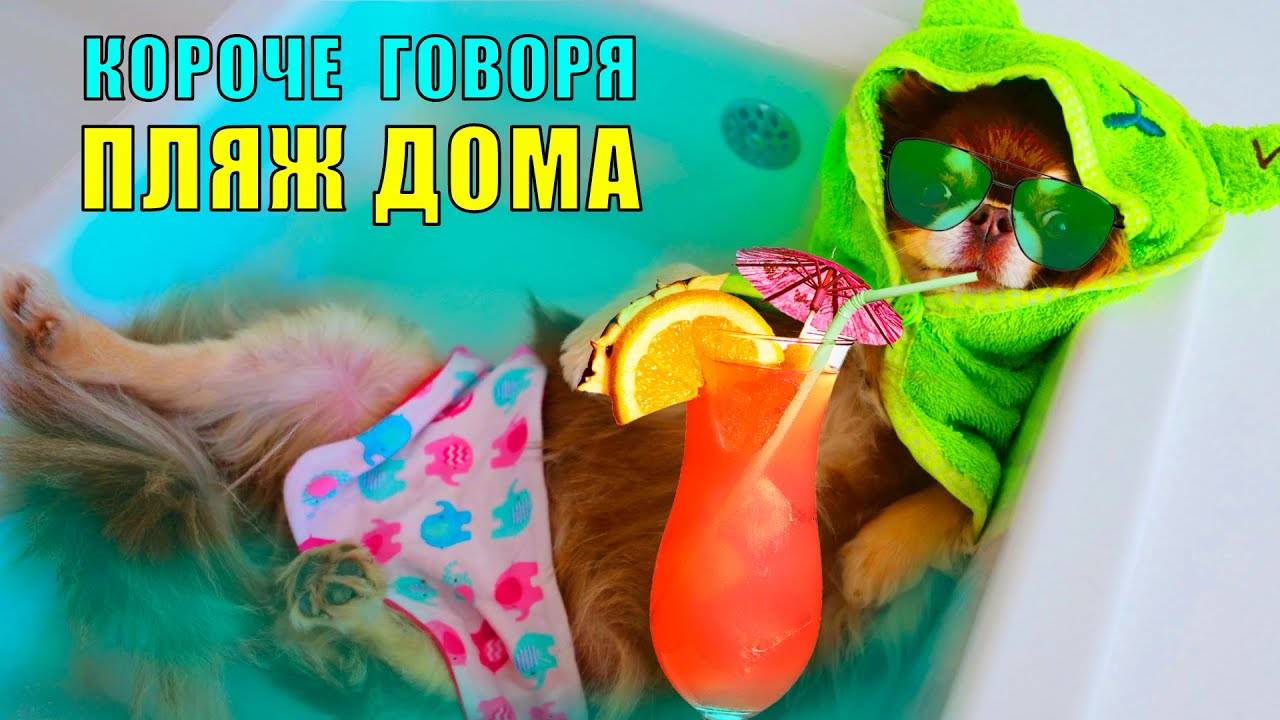 КОРОЧЕ ГОВОРЯ, КАРАНТИН 2! КАНИКУЛЫ ГЛАЗАМИ КОШКИ И СОБАК ДОМА