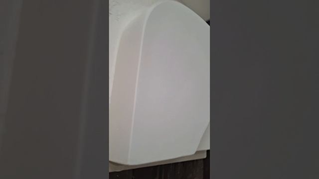 Лицо с картины.mp4