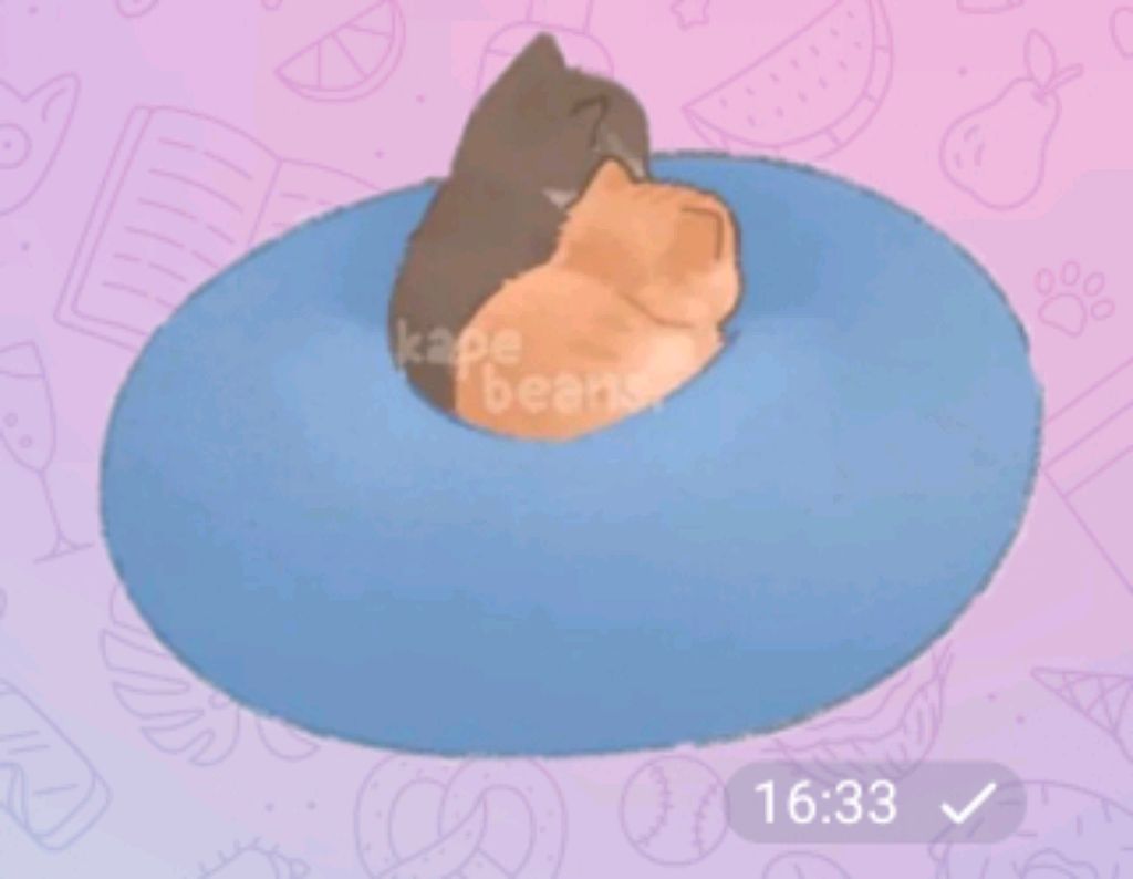 кооооооооооооот