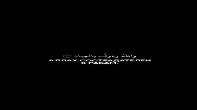 тот день #день #спрос #деяния #day #demand #actions #ГараевДамир #GaraevDamir #short #shorts