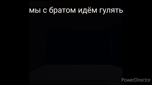 мы с братом идём гулять