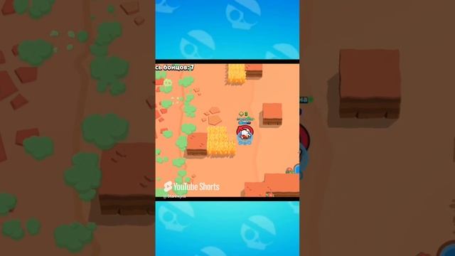 1 золото на фенга 👡