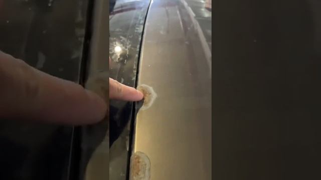 1000120588.mp4