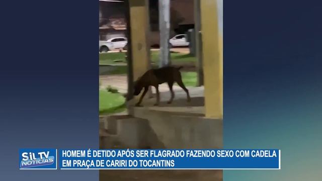 Homem é detido após ser flagrado fazendo sexo com cadela em praça de Cariri do Tocantins