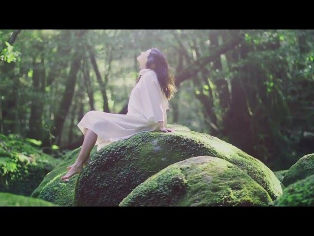 TOTO Life Anew ТЕХНОЛОГИИ БУДУЩЕГО MADE IN JAPAN