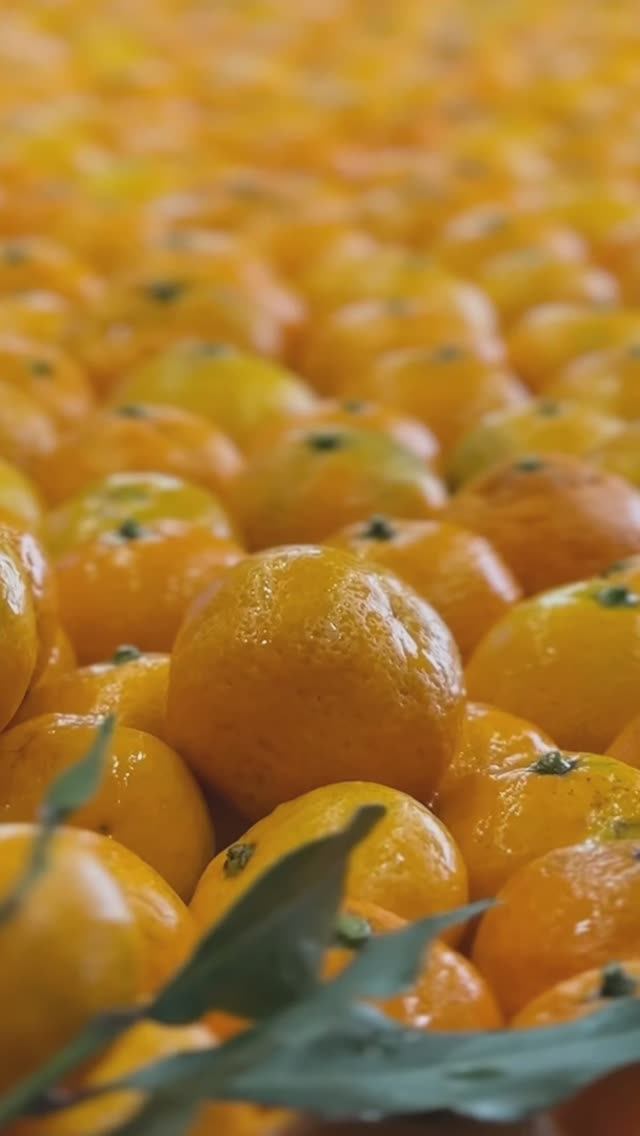 Как думаете, для чего нам нужно столько цедры мандарина? Княгинюшка