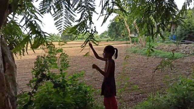 kids holiday enjoy in village, children's fun captured inside the camera,fun moment captured