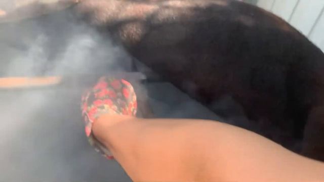 Удачная рыбалка 🎣/копчу сазана и щуку