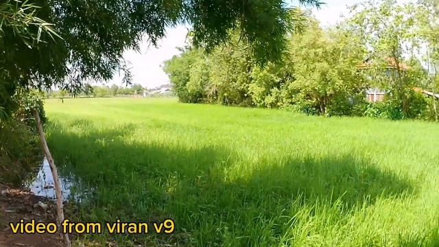 Video & voice from action camera viran v9