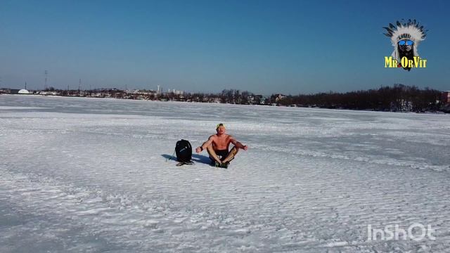 Сухопутный морж
