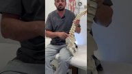 Мифы в мануальной терапии