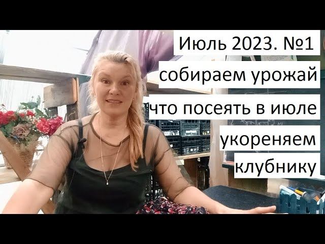 Июль 2023 серия №1. Размножение клубники. Что посею в июле. Собираем урожай.