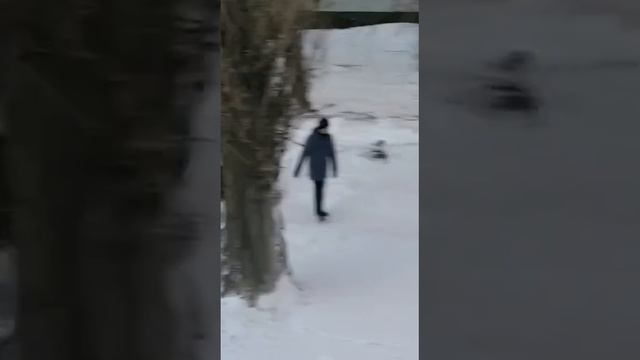 Новогодние праздники закончились. Гости медленно разбежались по домам ...