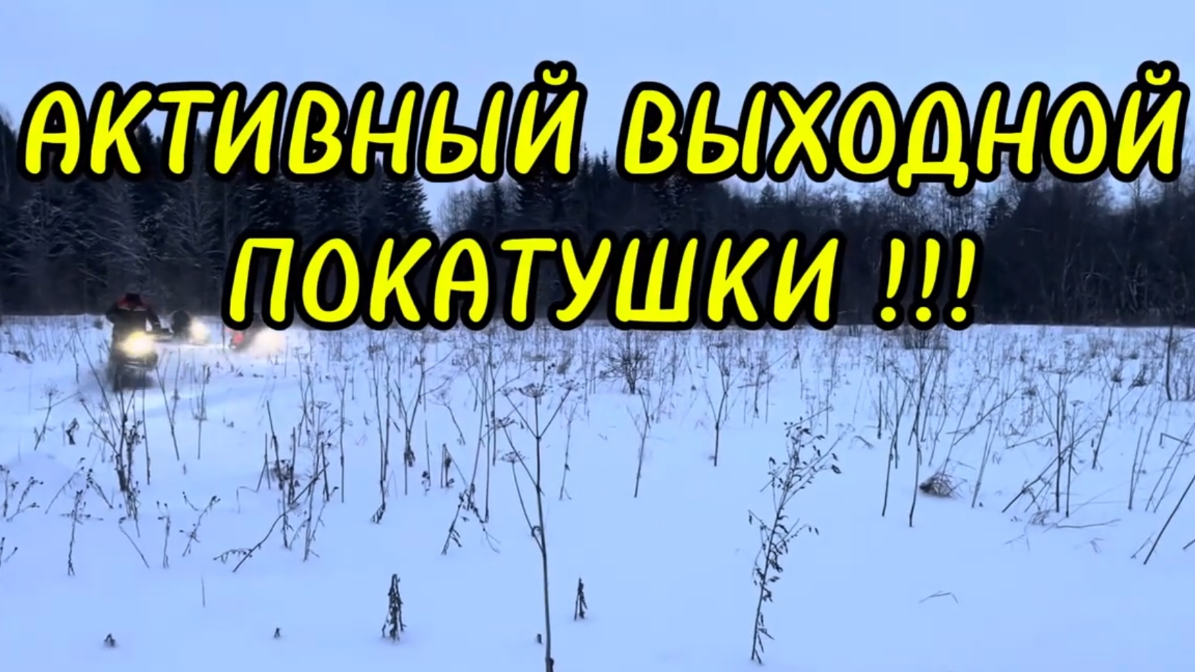 АКТИВНЫЙ ВЫХОДНОЙ! ПОКАТУШКИ НА МОТОСОБАКАХ!!!
