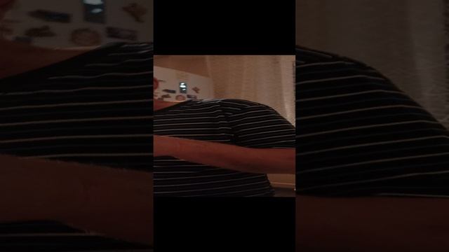 скибиди Барсик 30