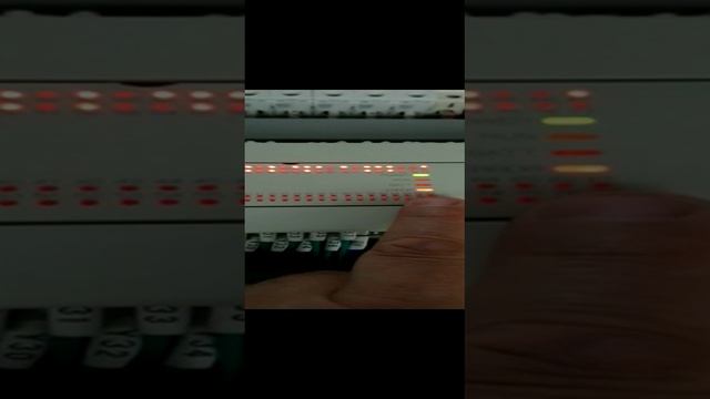 22593.mp4