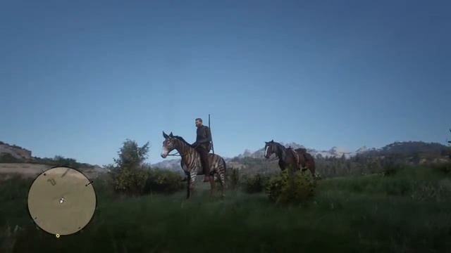 Red Dead Redemption 2 Found a Zebra ,,, Rare Horse!!!!!!!!!