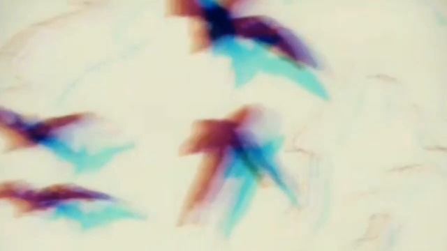 Coronation II (The Finale) - Official Music Video by Lilith Mors