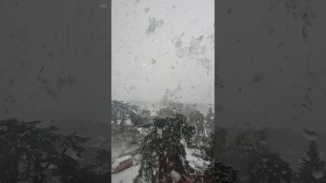 Калининградскую область накрыло снежным циклоном