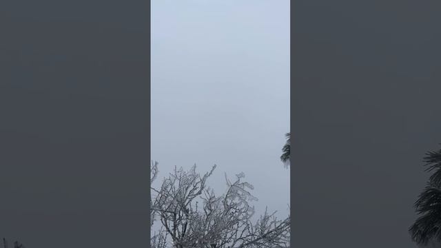 ❄️Вот такая красота сейчас на Ай-Петри