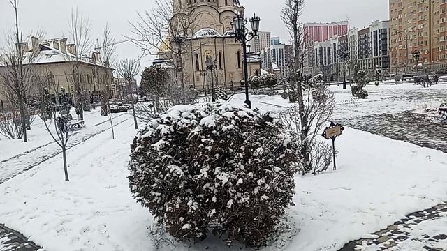 Ставрополь. Сквер "Молодежный".15.01.2025 г.