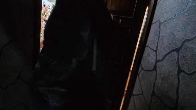 Шуя: прелести и печали провинциального рождества