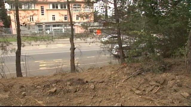 Klicaj! Ankaran: sporna sečnja v režiji Kopra?