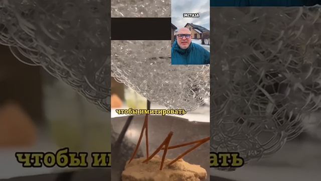 🌟🍴Мишлен? Да ну его в лес! 🌲🍯