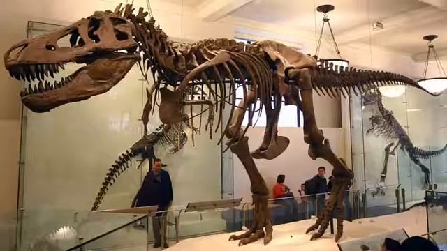 When was the "Golden Age of Dinosaurs"?