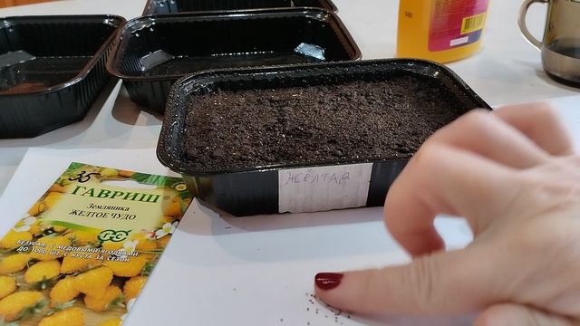 посев земляники и петунии