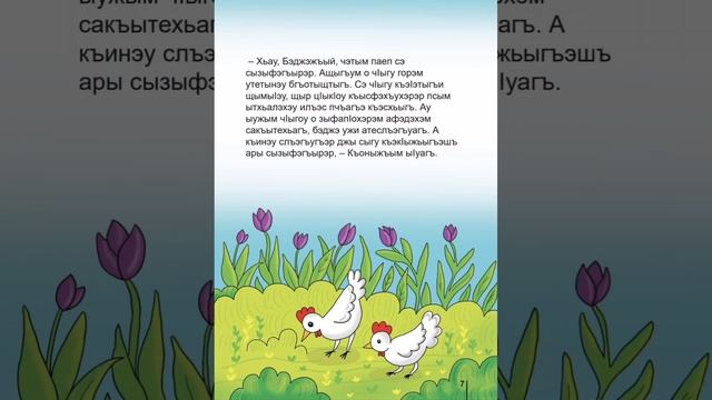 Къоныжъымрэ Бэджэжъыемрэ