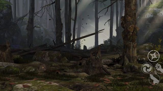 Крылья ворона. Событие "Пир ворона". Игра Shadow fight 3